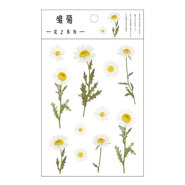 Mr.paper 12 Designs Natural Daisy Clover Japanese