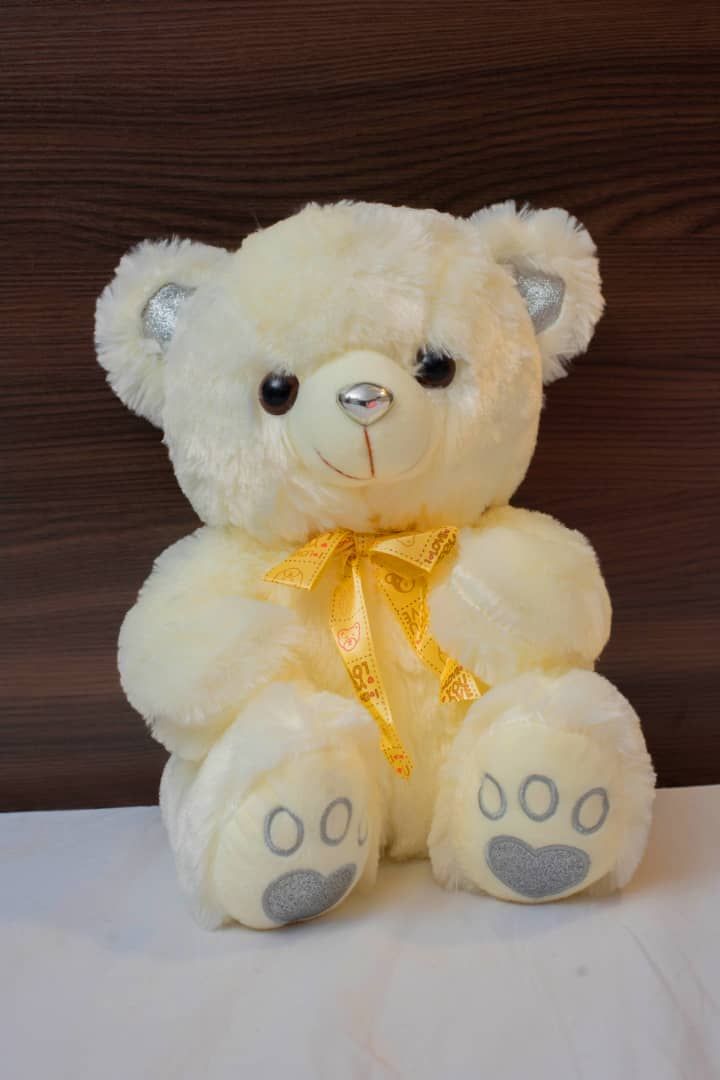 Cute Small Fluffy Teddy Bear