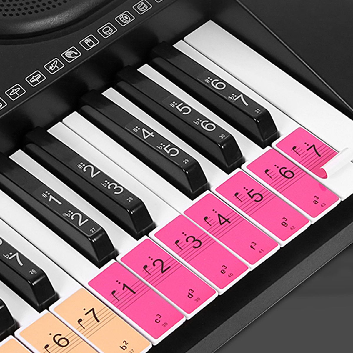 Piano Keyboard Keys Stickers For Beginners For 88/61/54