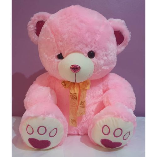 Super Cute Plush Pink Fluffy Teddy Bear