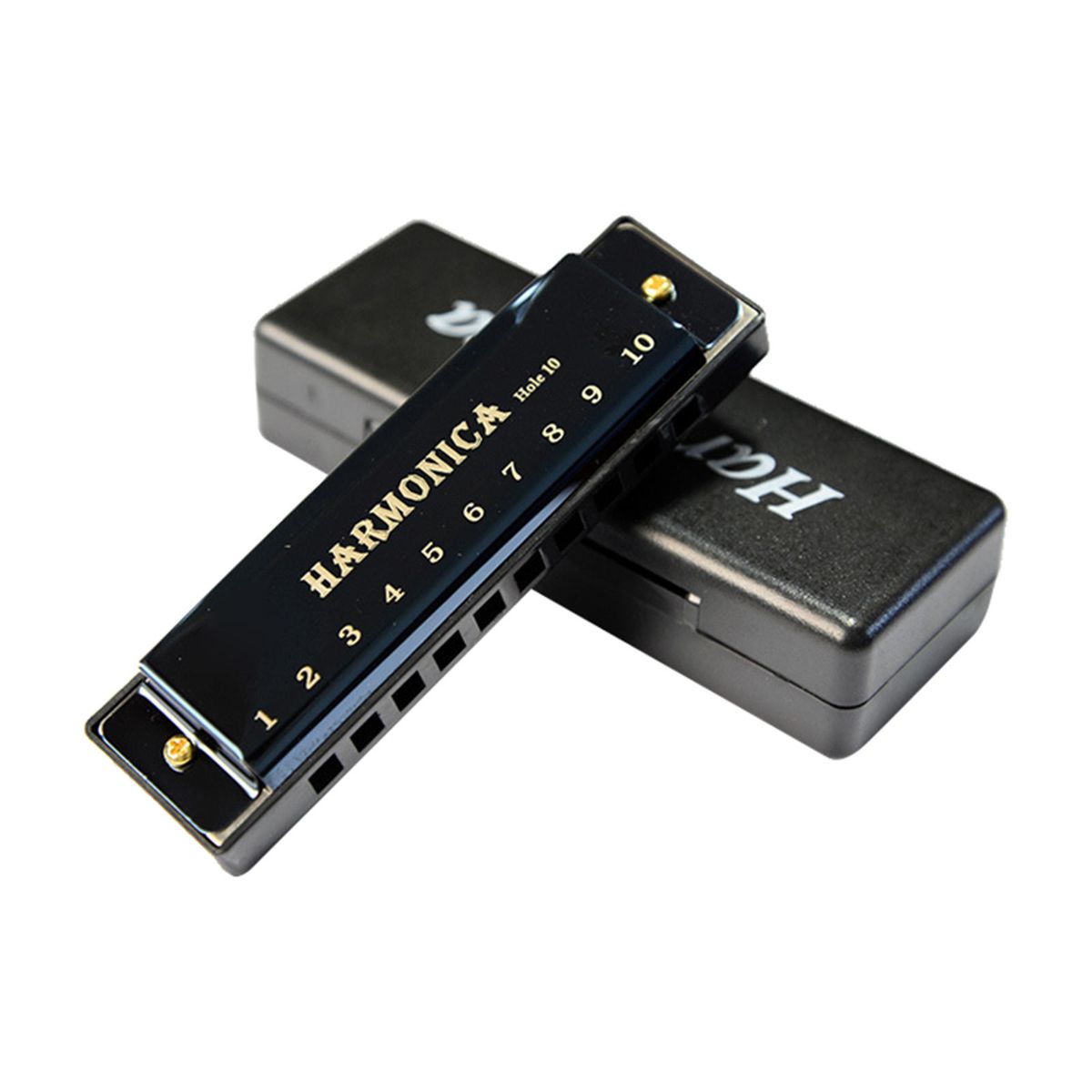 Blues Harmonica Diatonic Harp Mouth Organ 10 Hole Musical Black