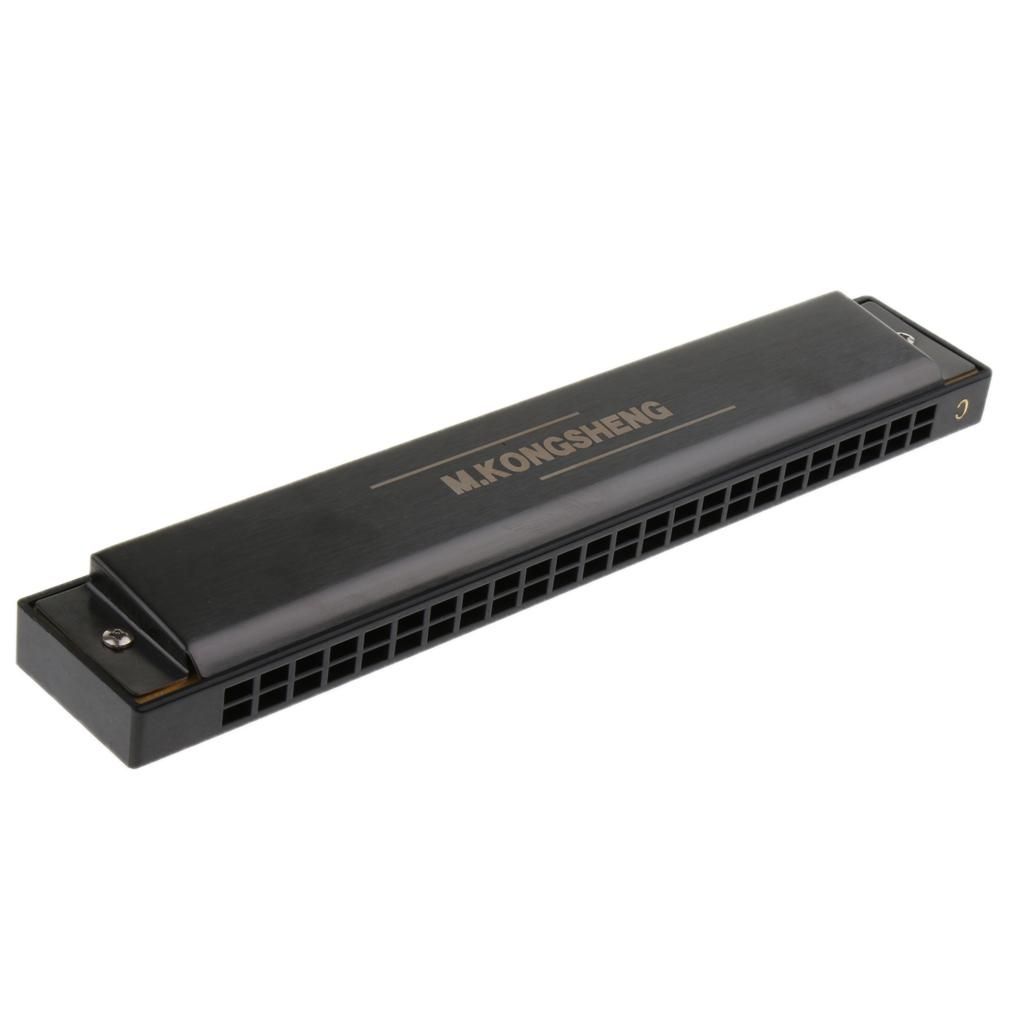 24 Holes Mouth Organ Instrument C Harmonica Tremolo For Matte Black