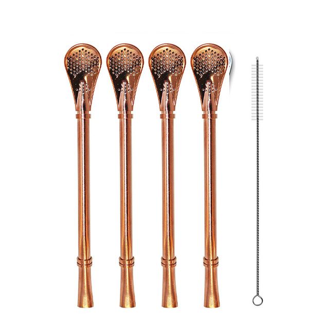 Straw Filter +1 Brush Reusable