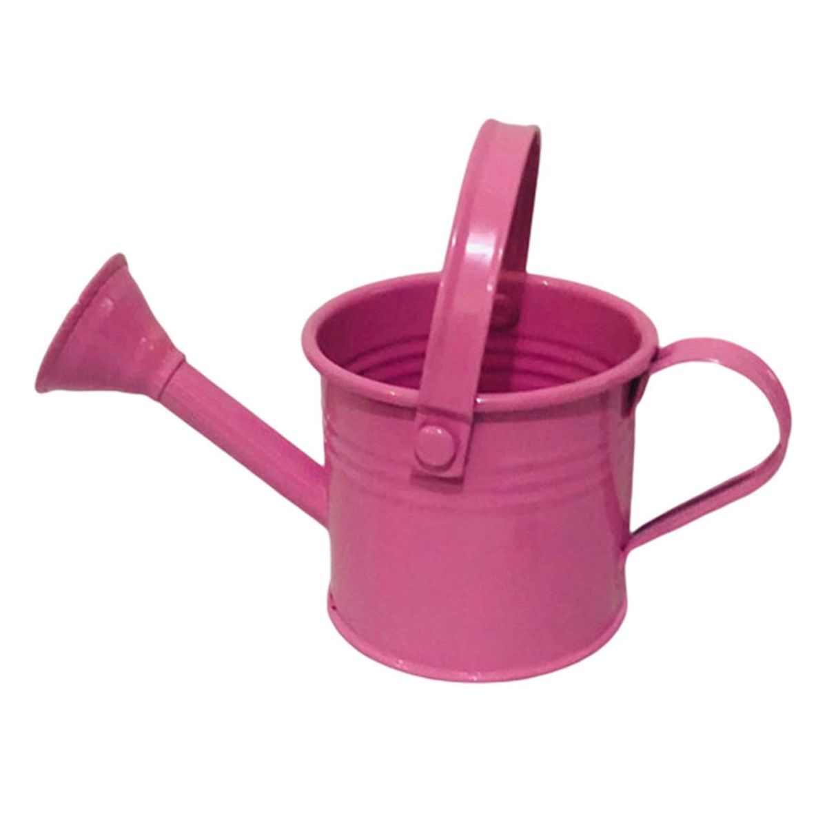 Handle Kettle Flower Planting Pot Watering Can Silver and Pink