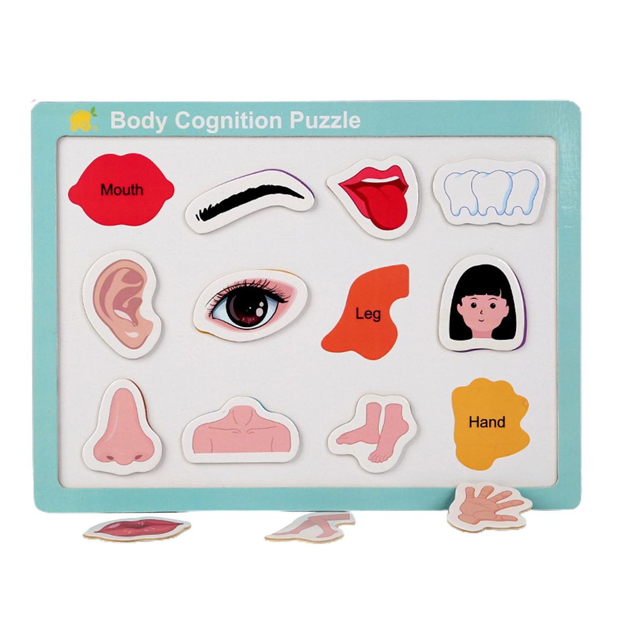 Word Spelling Toy English Words Magnetic Puzzle