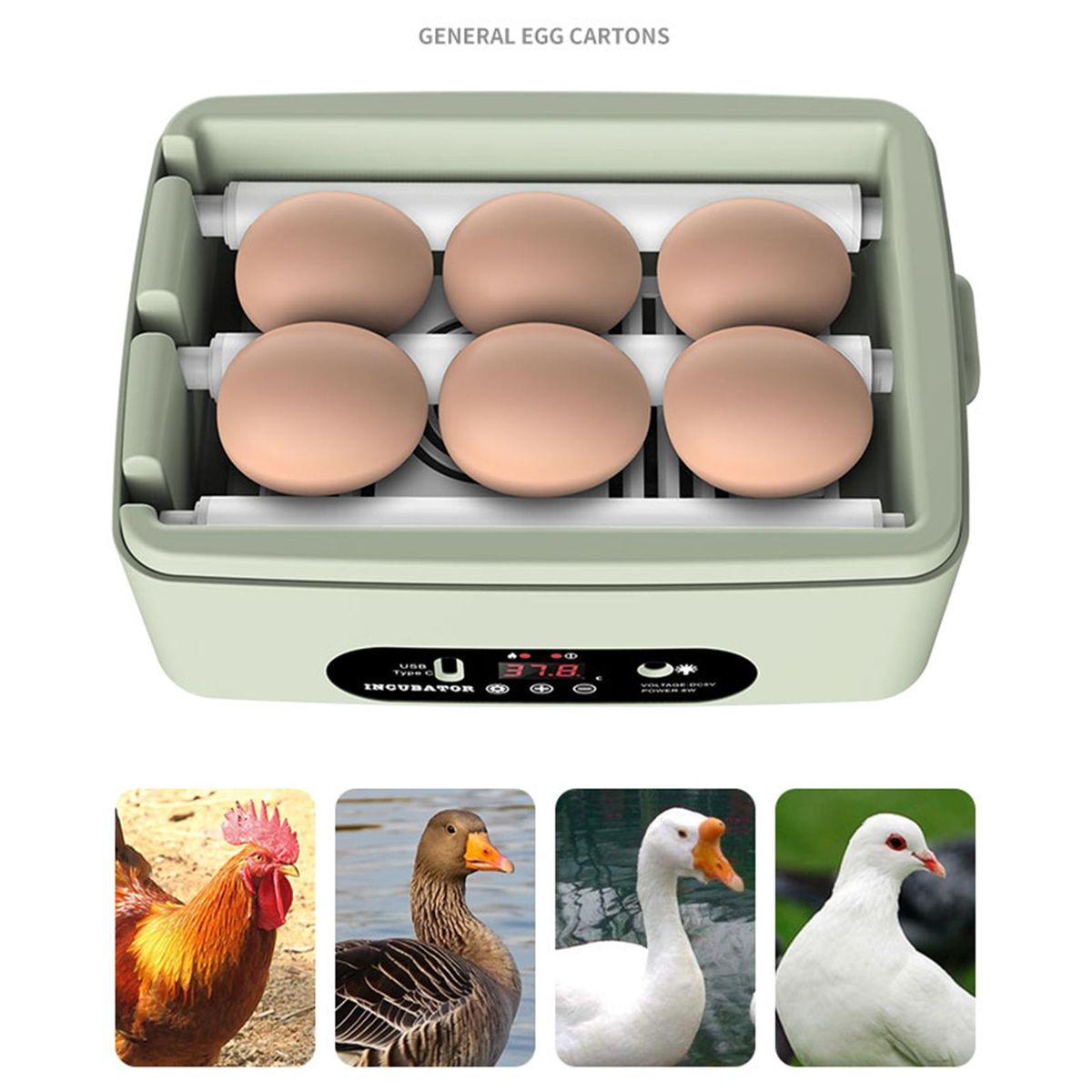 Mini Egg Incubator Egg Turner Tray Digital Hatcher Machine For Duck
