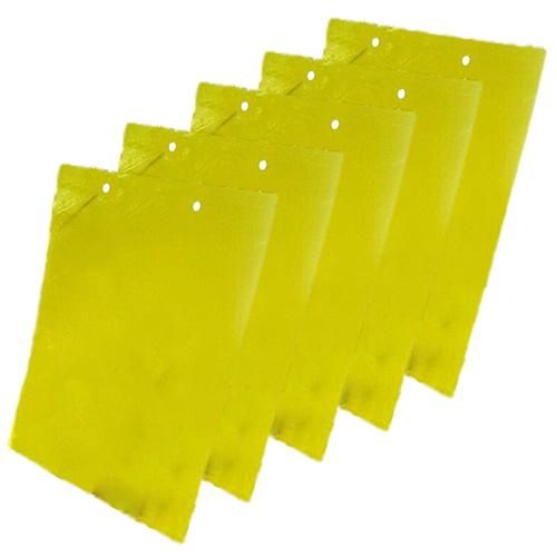5 Pcs Insect Trap Large Area Hanging Sticky Glue Boards
