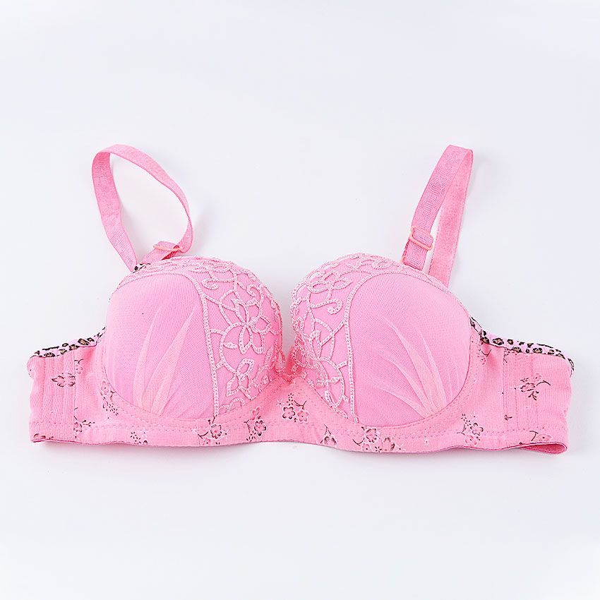 Chuns Women Embroidered Floral Lace Padded Bra