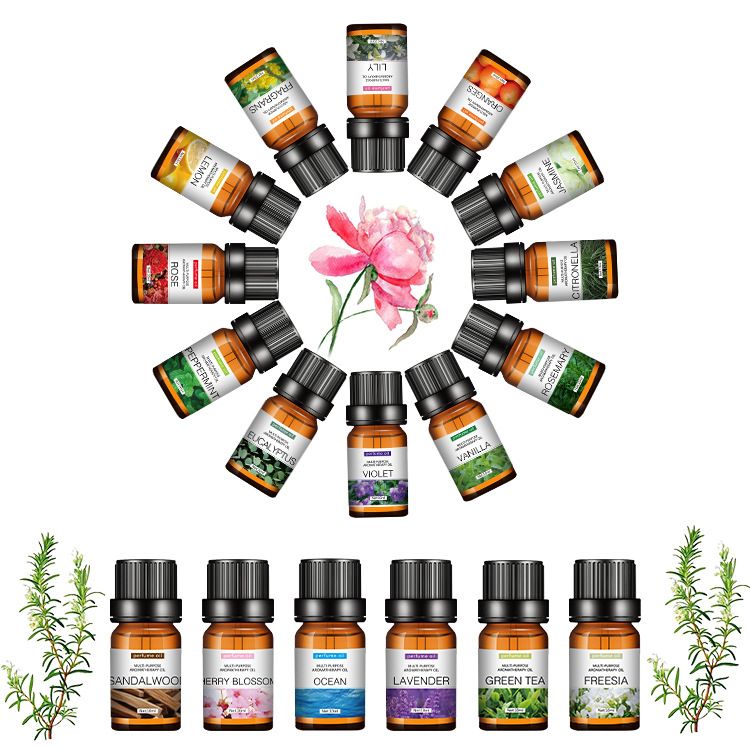 Water-soluble Aromatherapy Essential Oil-10ML (6 In A Pack)
