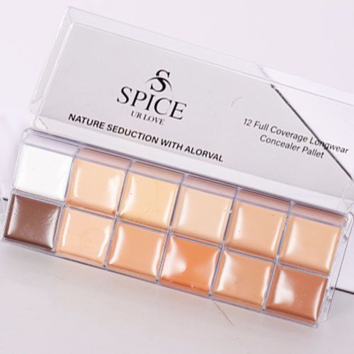 High Quality Professional Concealer Palette