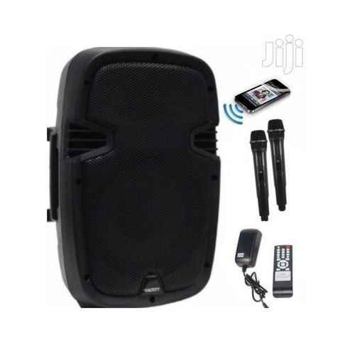 12'' Rechargeable 2 Microphones Multi-Function / PA System