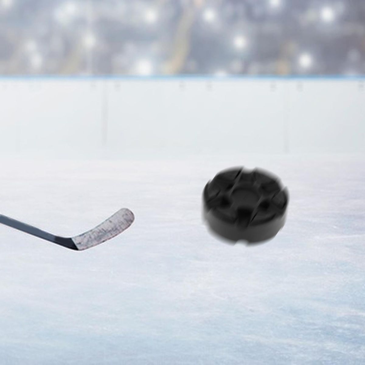 Inline Roller Hockey Puck Dryland Skate Ball Official