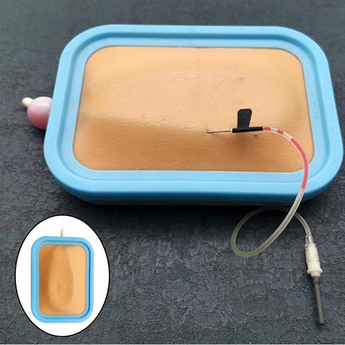 Anatomical Human Intramuscular Injection Training Pad Model Anatomy B