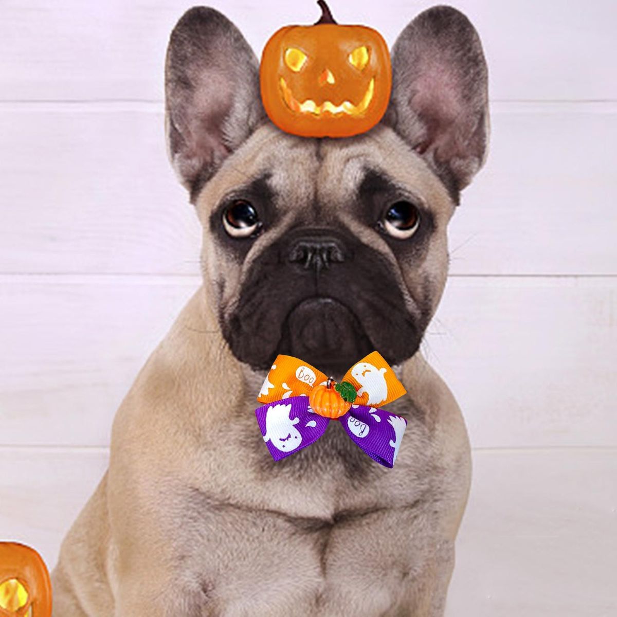 Cat Choker Necklace Cat Bowties Fall Halloween  I