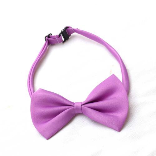 Boys Bow Tie - Purple