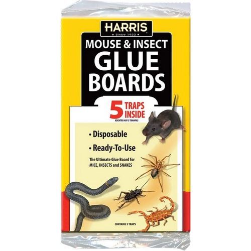 Mouse N Insect Glue Boards, 5Pre-Baited Traps