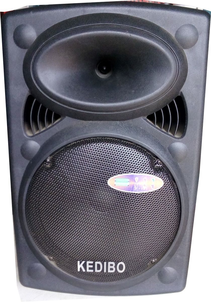 Portable Rechargeable Public Address System With USB/SD,FM Radio,Bluetooth,Two Wireless Microphone.