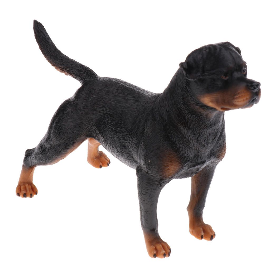 Realistic Animal Model Figure Figurine Science Nature Toys Rottweiler