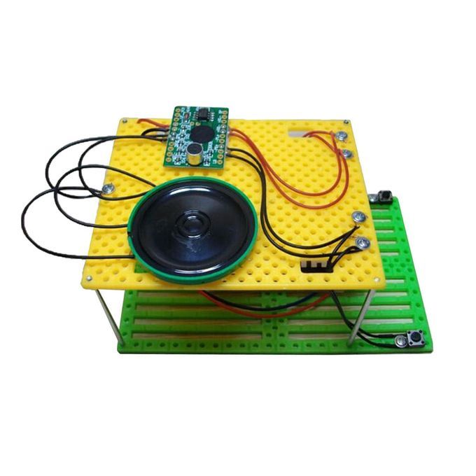 DIY Electric Recorder Physics Science Experiment Kid Student