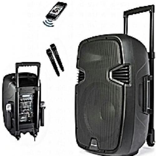 12 Rechargeable Public Address System,Bluetooth 2 Mic