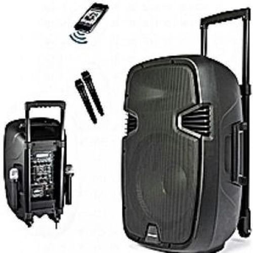 15'' Bluetooth Rechargeable Public Address System With 2 Wireless Microphones,SD Port,FM Radio,USB Port