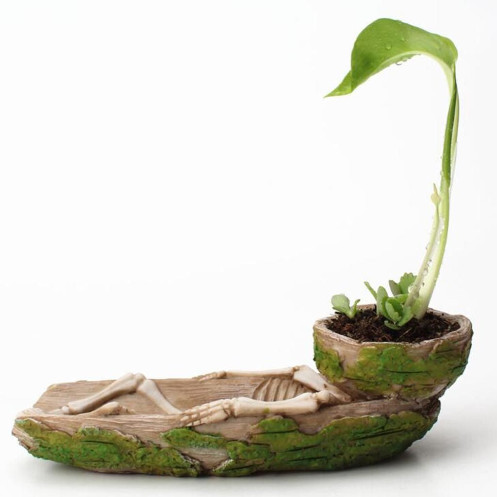 Skeleton Design Succulents Plant Pot Flowerpot Planter