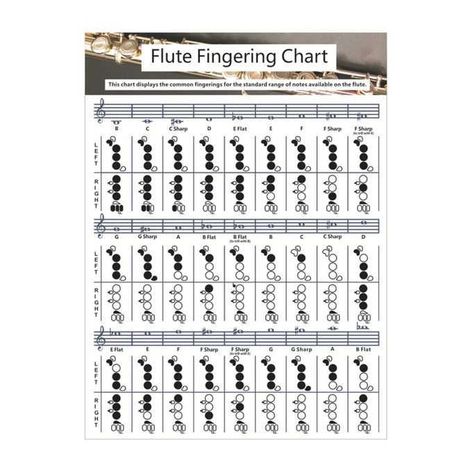 Useful Flute  Fingering Chart Fingering Practice Instrument For Large