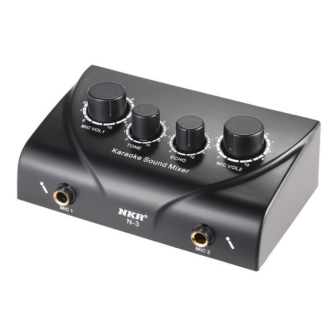 Portable Karaoke Sound Audio Stereo Echo Mixer Dual Mic
