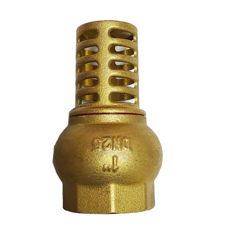 4 Points Copper Vertical Type Check Valve Water Pump Valve/Water Pump Check Valve/Brass Threaded Bottom Valve Foreign Trade Export Bottom Valve