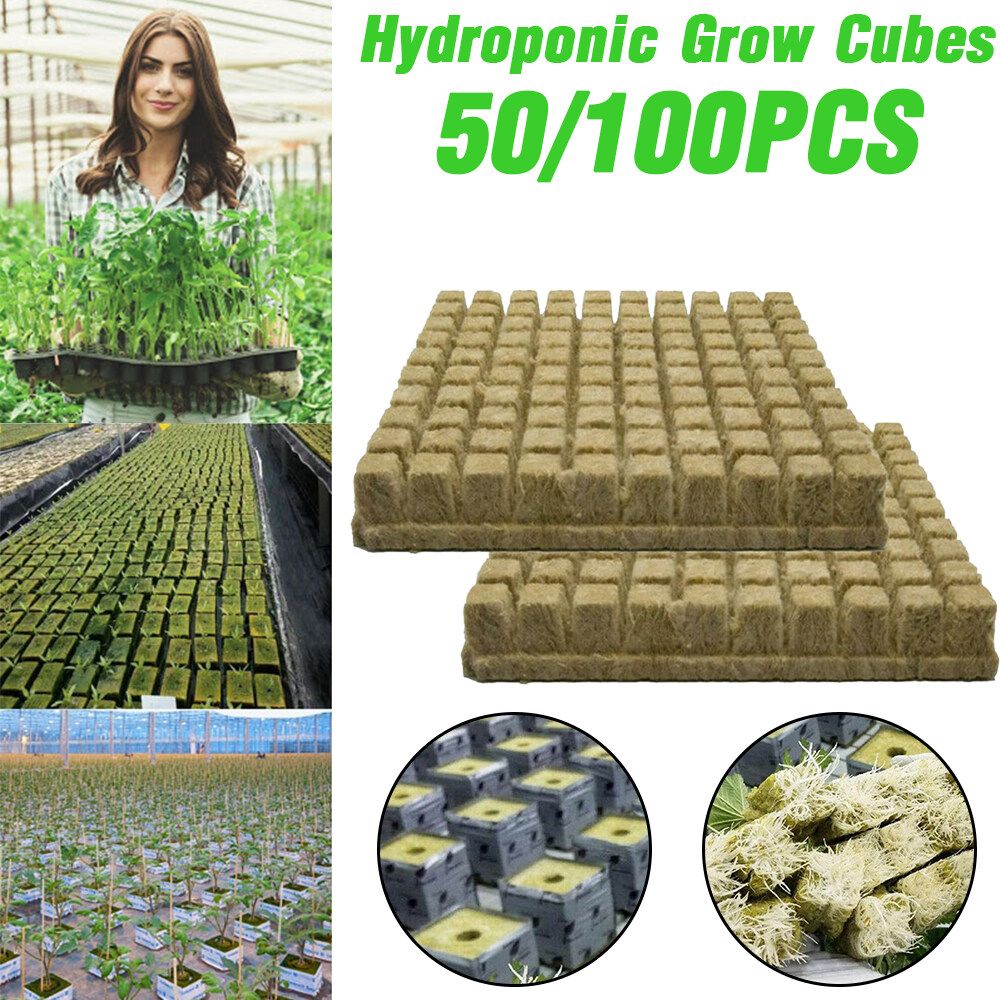 50/100Pcs Rockwool Stonewool Hydroponics Grow Starter Cubes Propagation Block 100pcs