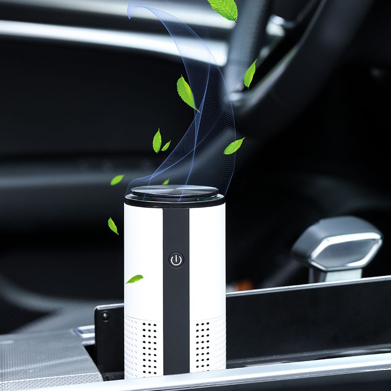 Portable Air Purifier For Home With True HEPA Filters