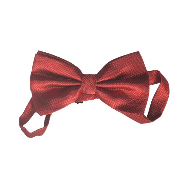 Men's Classic  Bow Tie -Wine