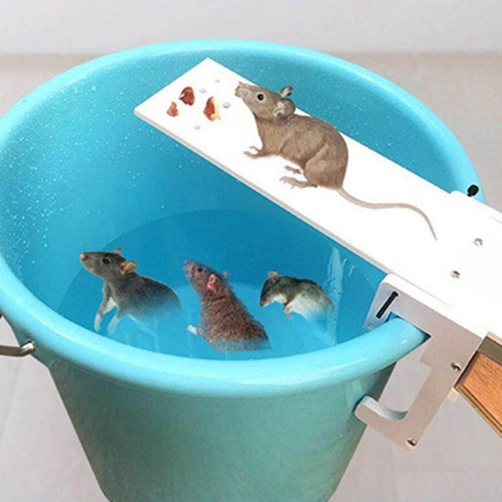 DIY Non-toxic Home Garden Rat Trap Seesaw Mouse Catcher Bait Rat Controller Killer Mice Traps RA