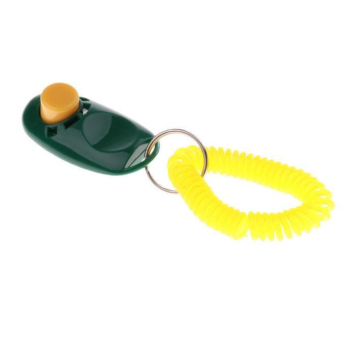 Animal Dog Cat Bird Horse Pet Training Clicker Obedience  + Green
