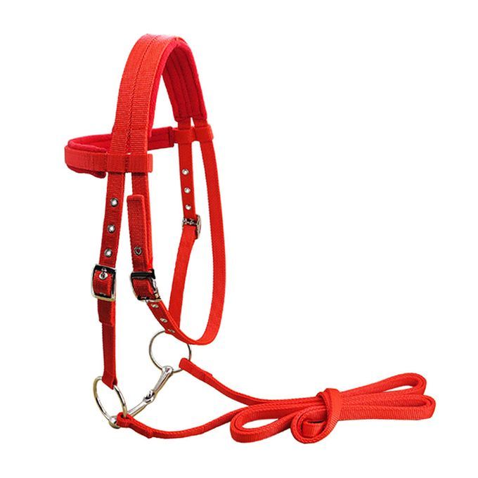 Horse Bridle Horse Rein Headstall Thickened Halter Equestrian