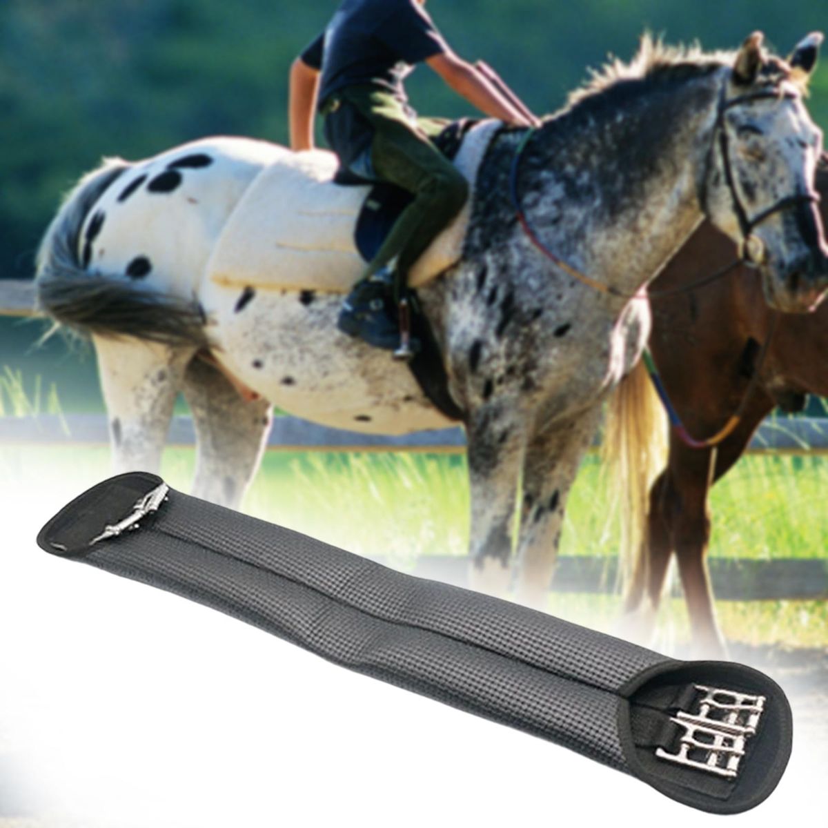 Horse  Equestrian Safety Equipment Girth Use For Horse
