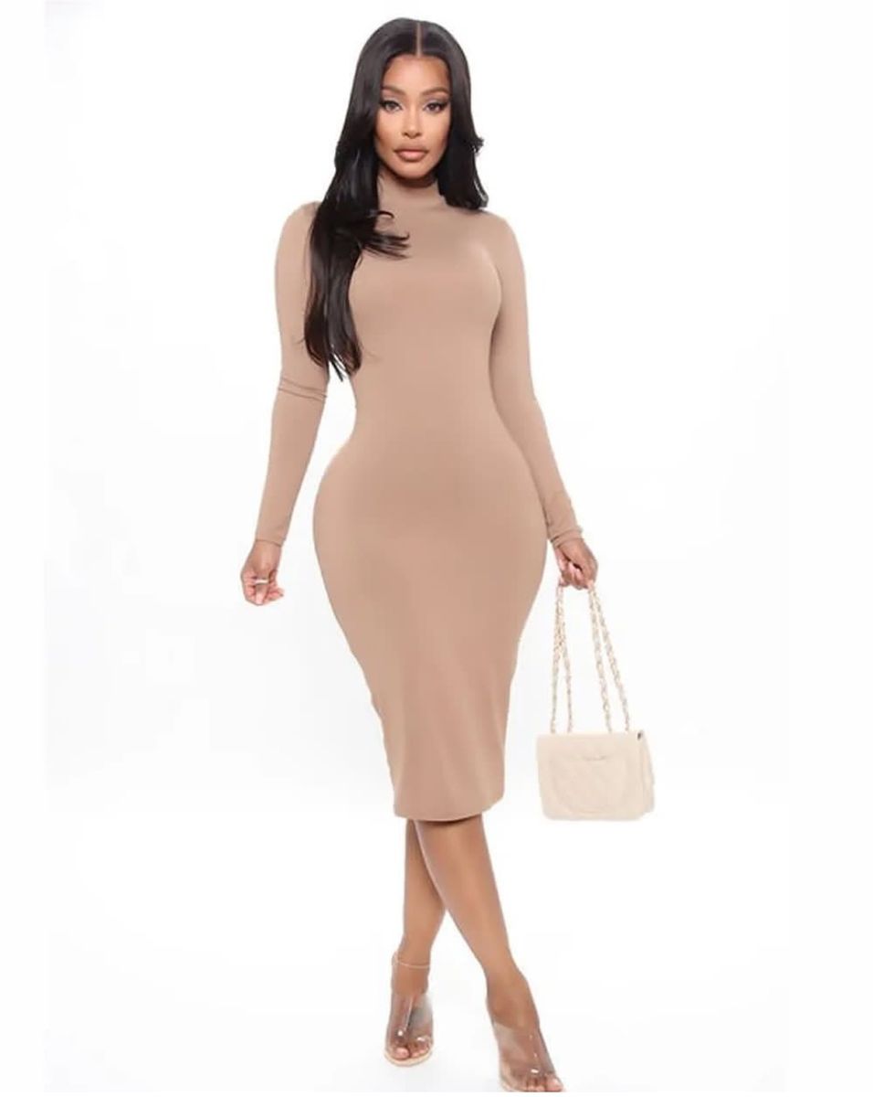 Nude  Fitted Turtle Neck Classy Dress