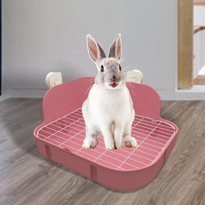 Corner Large Toilet Guinea Pig Rats Small Animal Pink