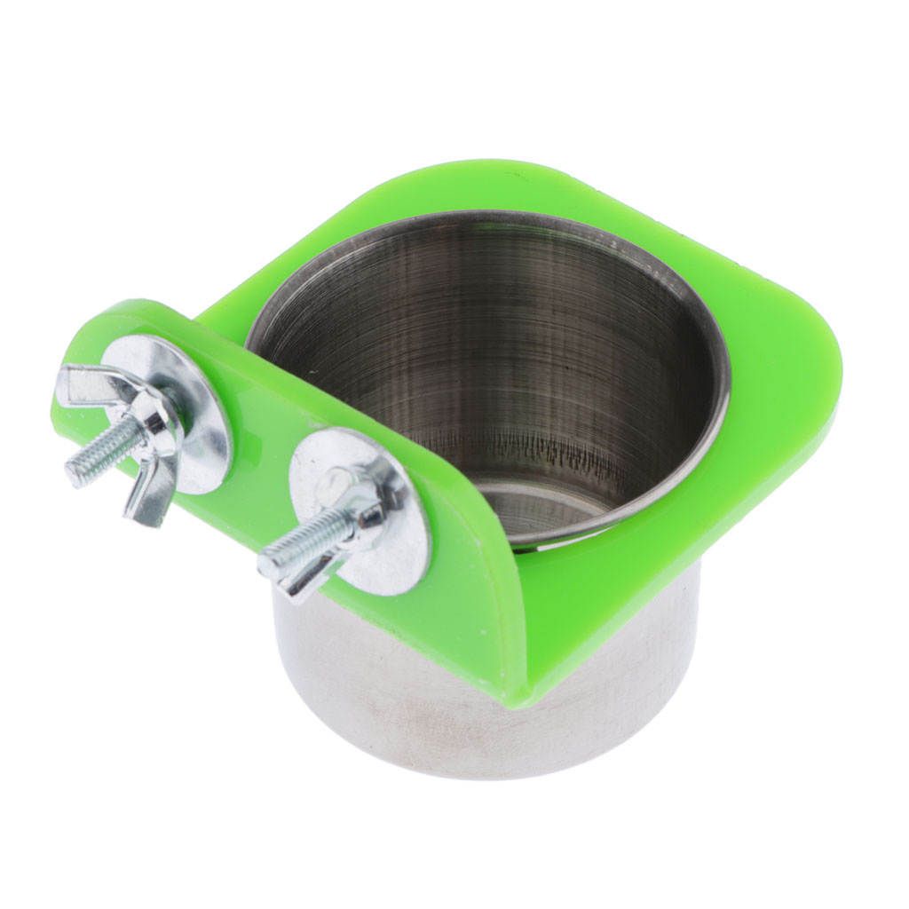 Stainless Steel & Acrylic Birds Feeder Bowl, Bird Food
