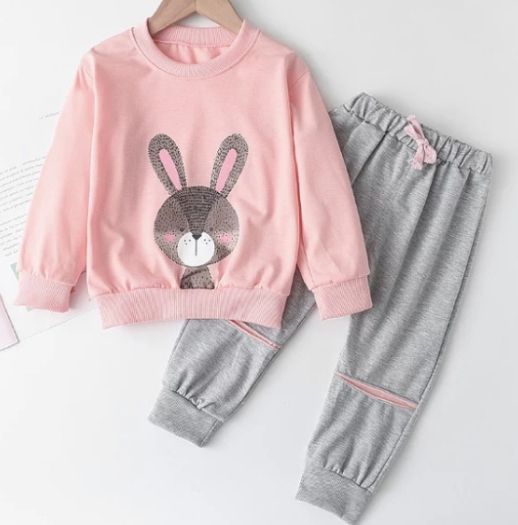 2pcs Of Girl Sweatshirt And Pants