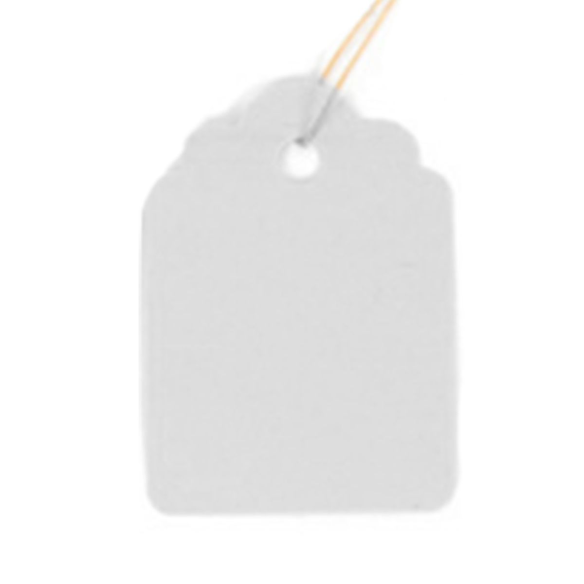 100PcsBag Plant Markers   Garden Tags Markers White