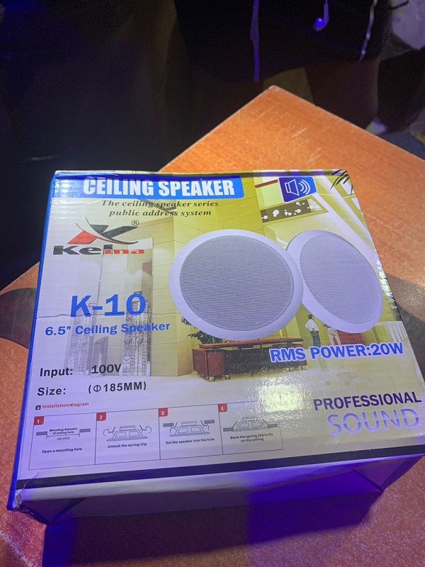 Ceiling Speaker - 20Watts