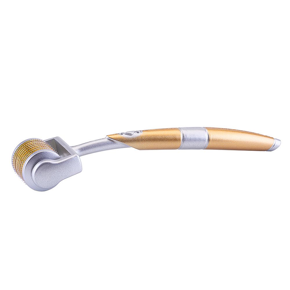 Mini Anti Ageing Needle Derma Roller Pen Titanium Skin