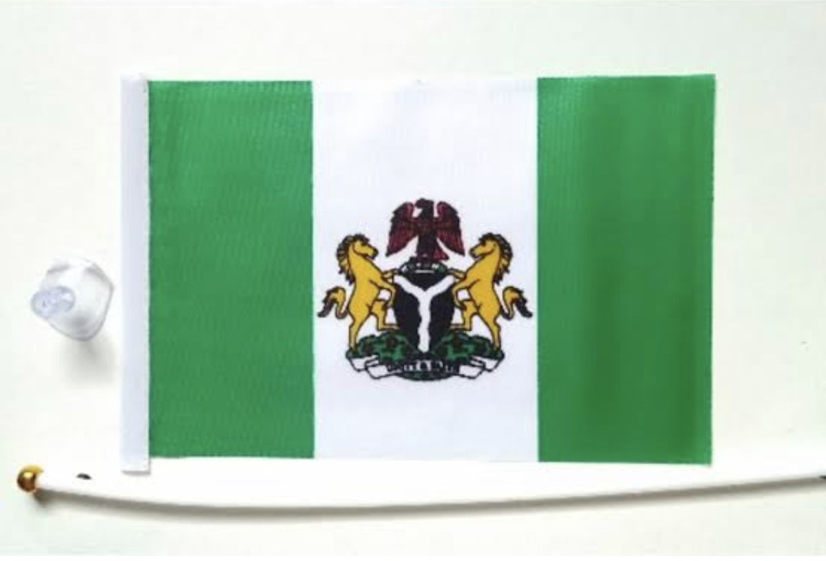 12x Hand Waving Nigeria Nigerian National Country Flag