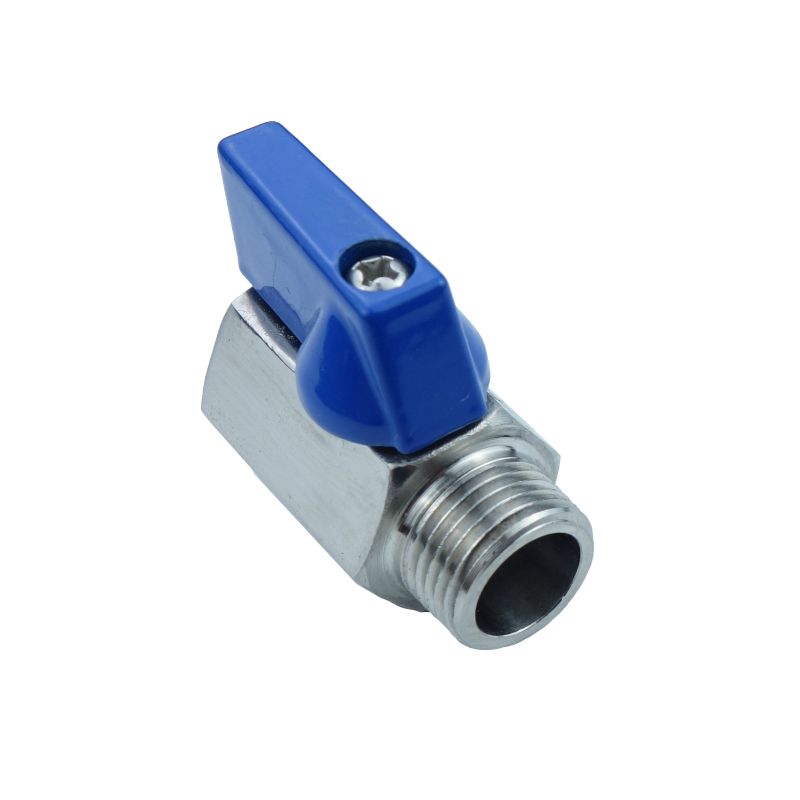 Stainless Steel 304 Or 316 Mini Valve - 12