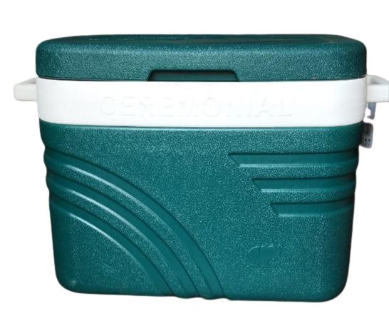 GINT FOOD COOLER/WARMER-OCASIONS AND MORE