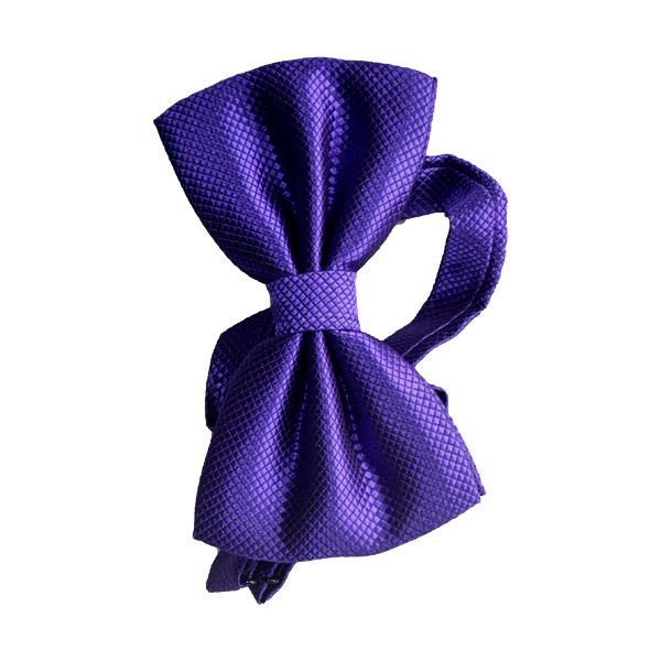 Men's Classic Bow Tie -Purple