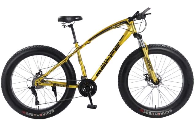 Newly Improved Fat Tire Cruiser Outdoor Bike