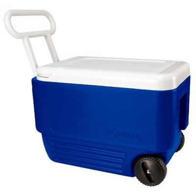 Cooler - 36 litres