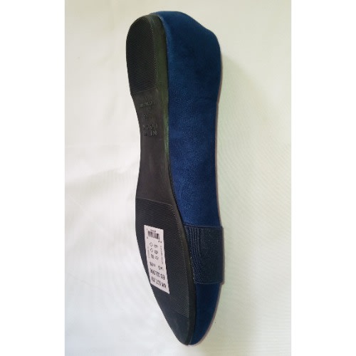 Trendy Pointed Ladies Office Flat Shoe - Blue